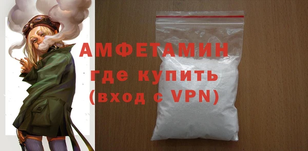 прущие грибы Рославль