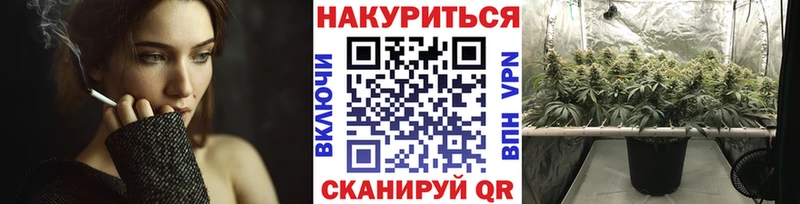 купить  цена  Буйнакск  Каннабис планчик 